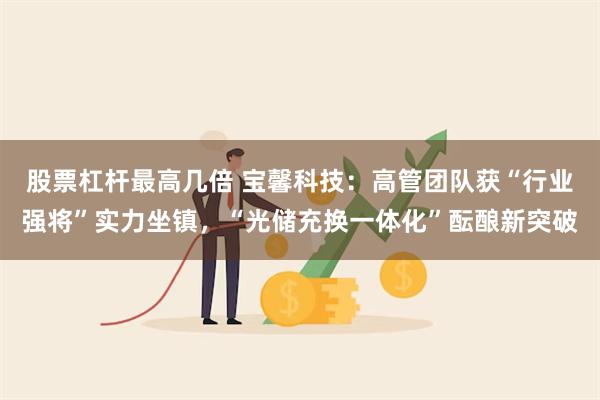 股票杠杆最高几倍 宝馨科技：高管团队获“行业强将”实力坐镇，“光储充换一体化”酝酿新突破