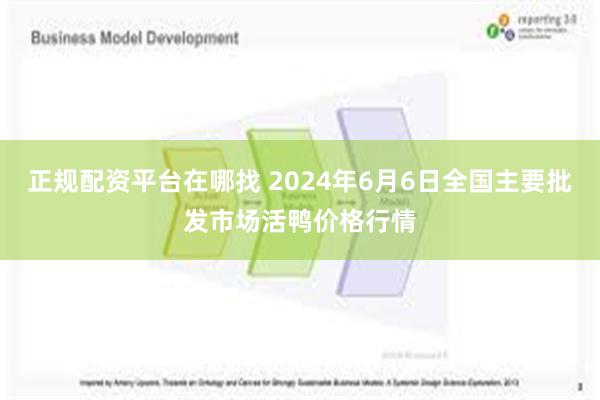 正规配资平台在哪找 2024年6月6日全国主要批发市场活鸭价格行情