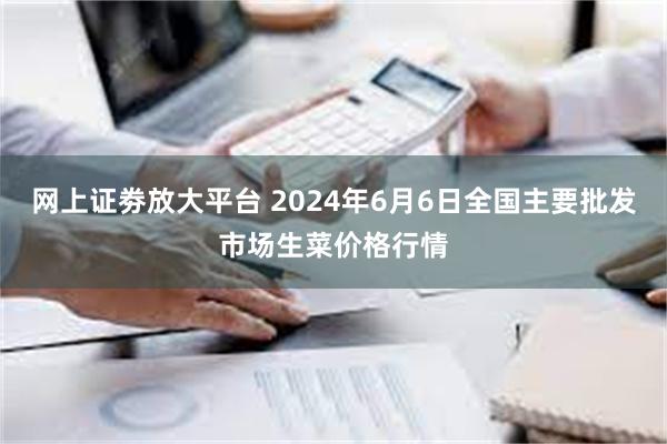 网上证劵放大平台 2024年6月6日全国主要批发市场生菜价格行情