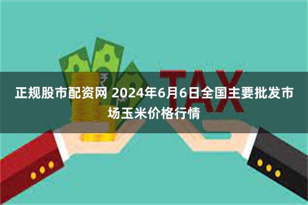 正规股市配资网 2024年6月6日全国主要批发市场玉米价格行情