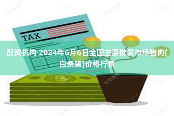 配资机构 2024年6月6日全国主要批发市场猪肉(白条猪)价格行情