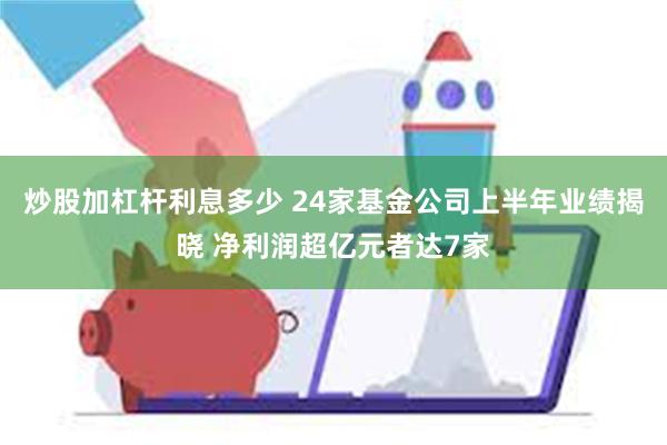 炒股加杠杆利息多少 24家基金公司上半年业绩揭晓 净利润超亿元者达7家