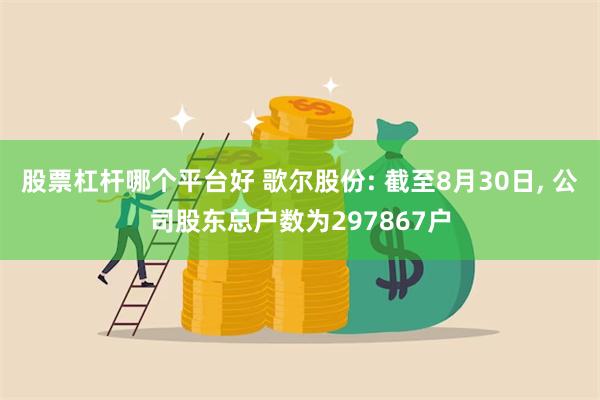 股票杠杆哪个平台好 歌尔股份: 截至8月30日, 公司股东总户数为297867户