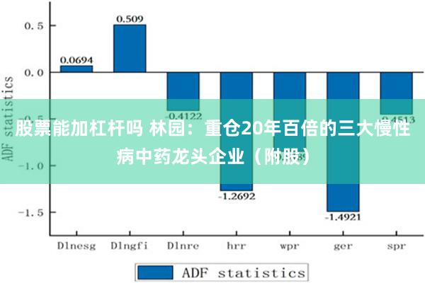 股票能加杠杆吗 林园：重仓20年百倍的三大慢性病中药龙头企业（附股）