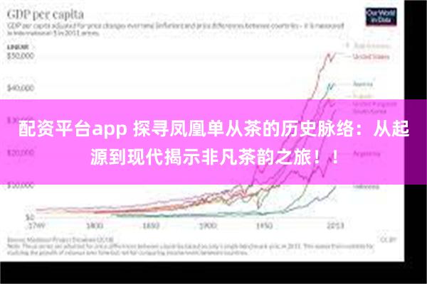 配资平台app 探寻凤凰单从茶的历史脉络：从起源到现代揭示非凡茶韵之旅！！