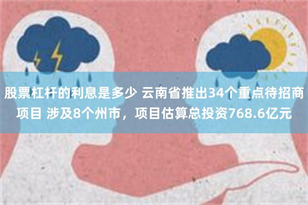 股票杠杆的利息是多少 云南省推出34个重点待招商项目 涉及8个州市，项目估算总投资768.6亿元