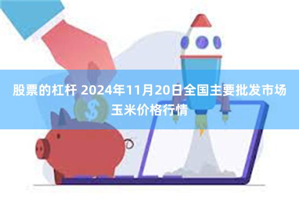 股票的杠杆 2024年11月20日全国主要批发市场玉米价格行情