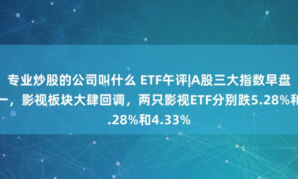 专业炒股的公司叫什么 ETF午评|A股三大指数早盘涨跌不一，影视板块大肆回调，两只影视ETF分别跌5.28%和4.33%