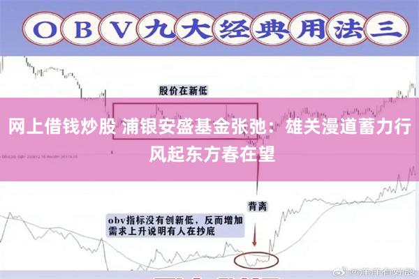 网上借钱炒股 浦银安盛基金张弛：雄关漫道蓄力行 风起东方春在望