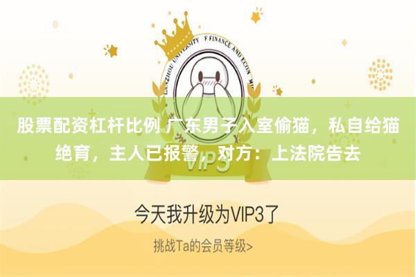 股票配资杠杆比例 广东男子入室偷猫，私自给猫绝育，主人已报警，对方：上法院告去